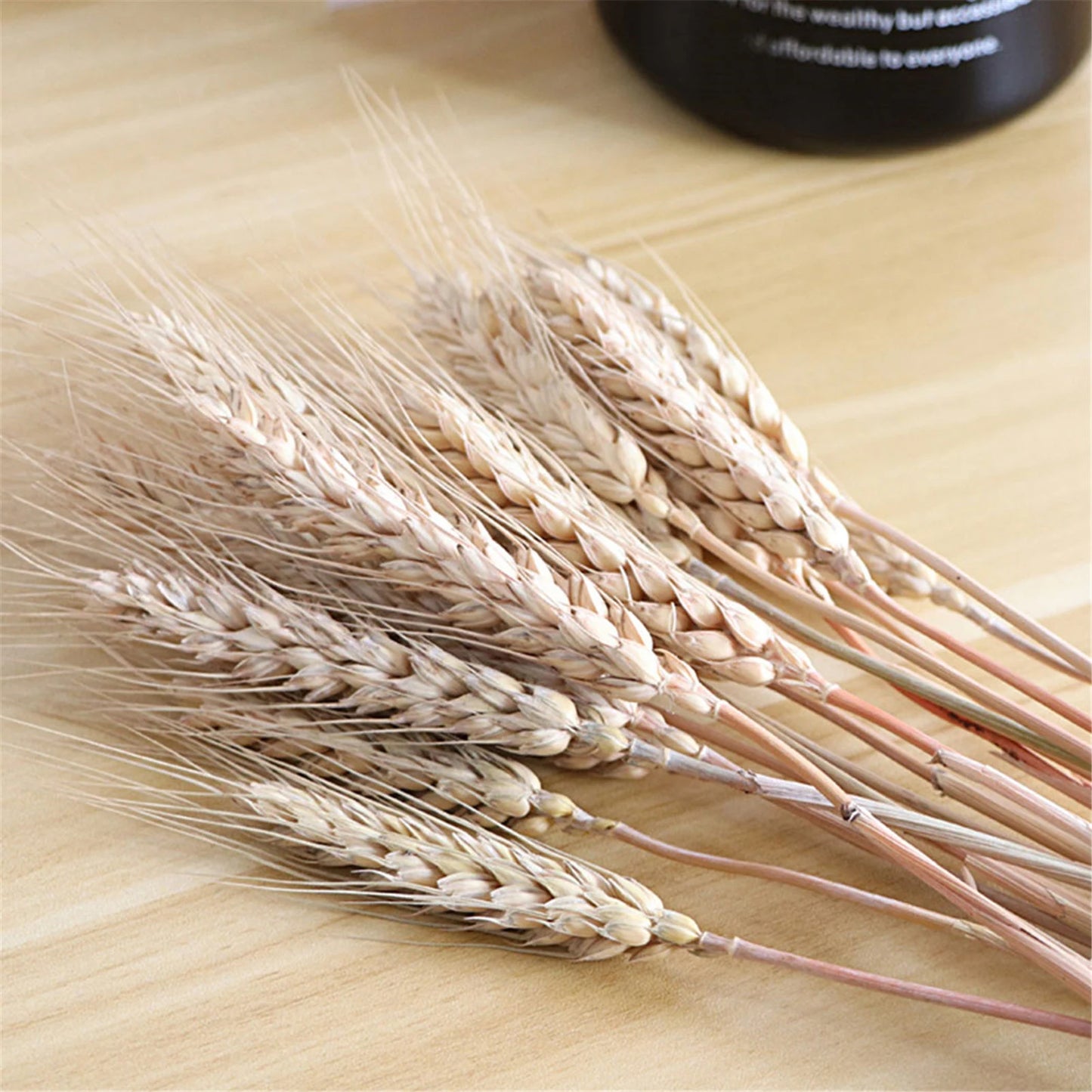 100ps Natural Wheat Ear