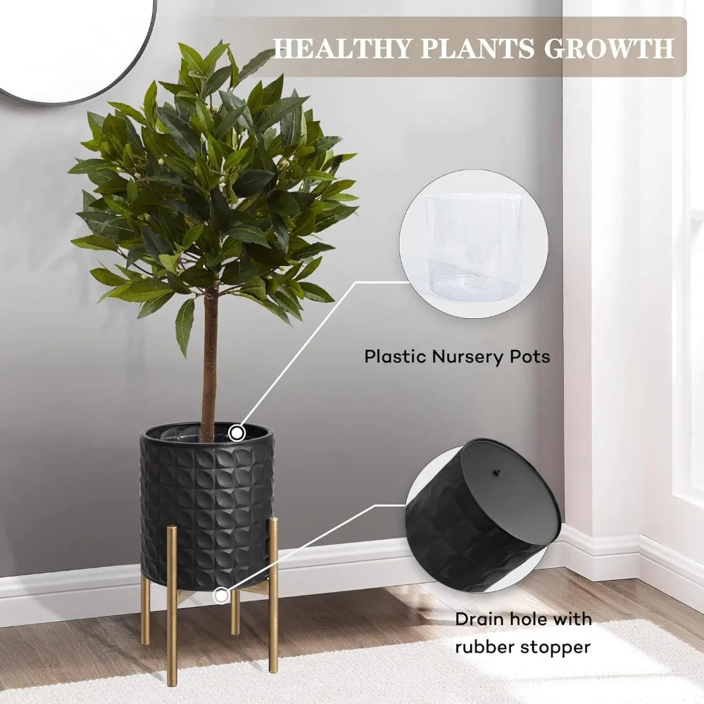Planters for Indoor Plants, Set of 2,