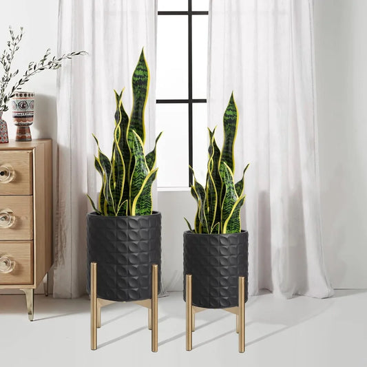 Planters for Indoor Plants, Set of 2,