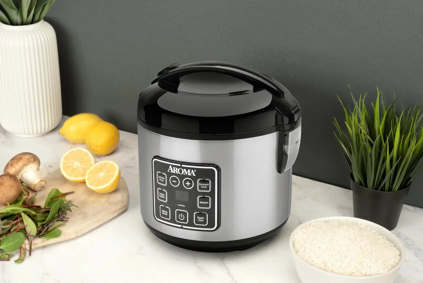 Rice Cooker, Steamer,